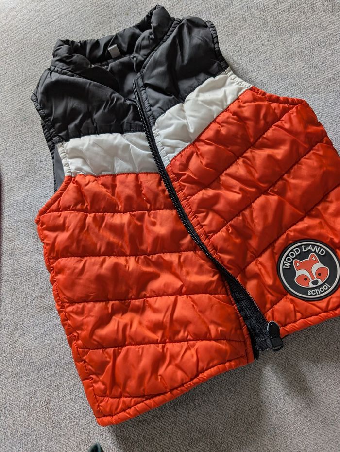 Veste
