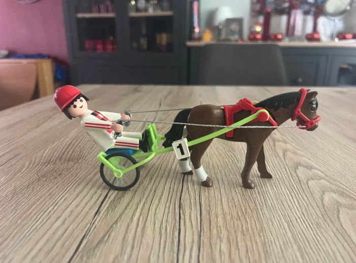 Lot - prix sur tous les éléments équitation - photo numéro 16