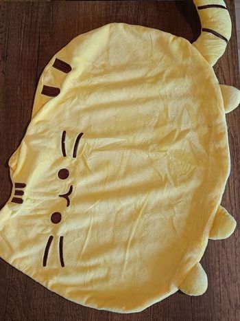 Coussin à fourrer 