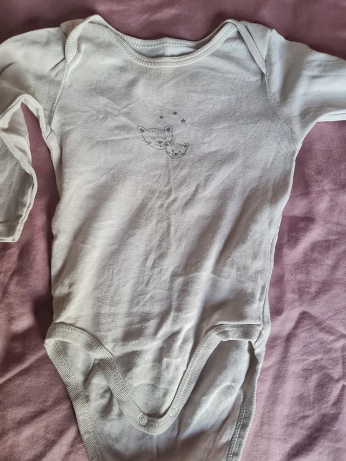 Lot bodies ML 9 mois - photo numéro 5