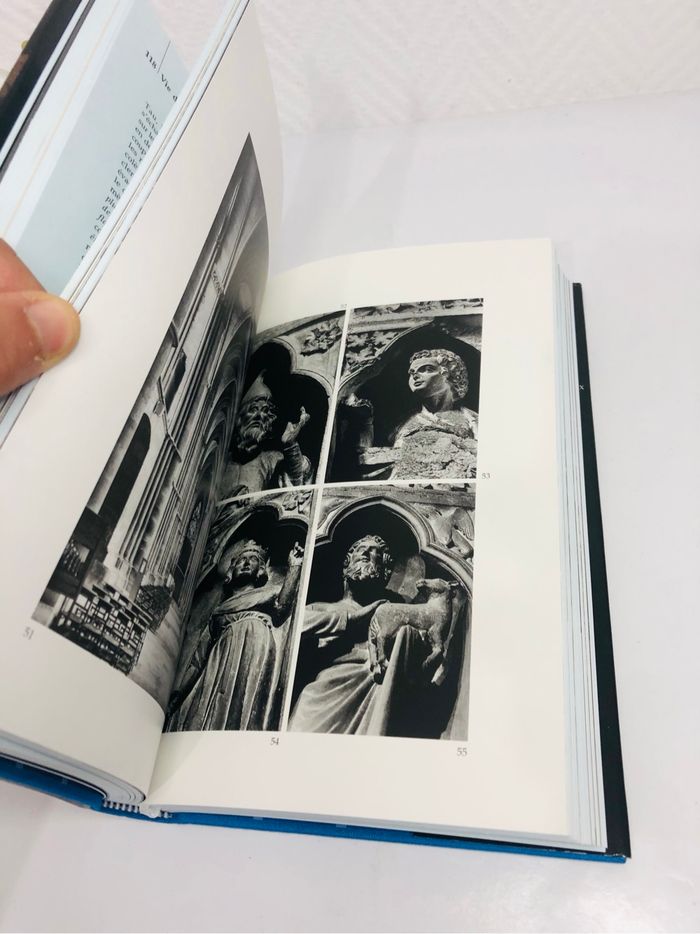 Patrick Demouy Reims : la cathédrale - photo numéro 8