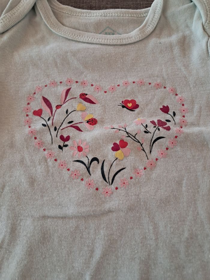 Bodie 12 mois - photo numéro 2