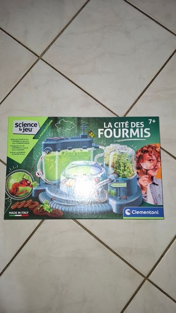 La cité des fourmis