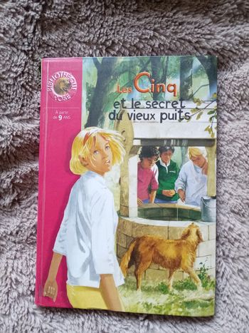 Livre les 5 et le secret du vieux puit