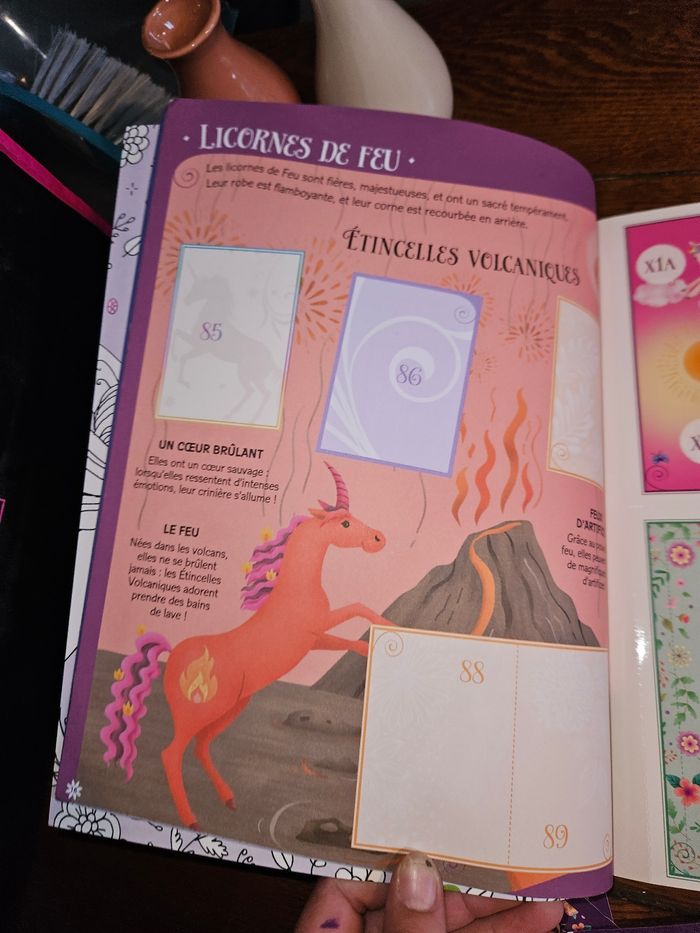 Licornes - photo numéro 5