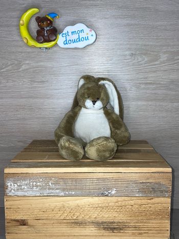 ACT10 doudou lapin 🐰 action