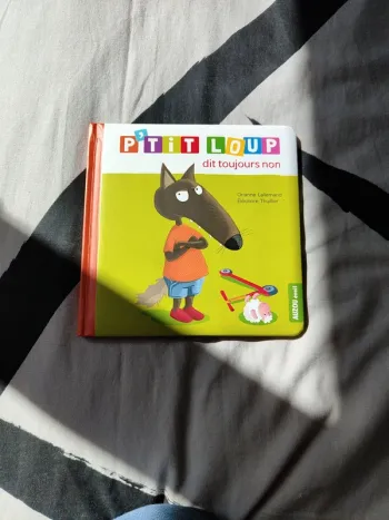Livre P'tit loup dis toujours non