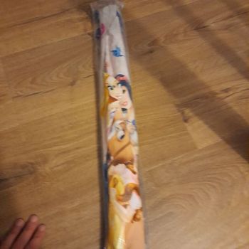 Cerf volant princesse