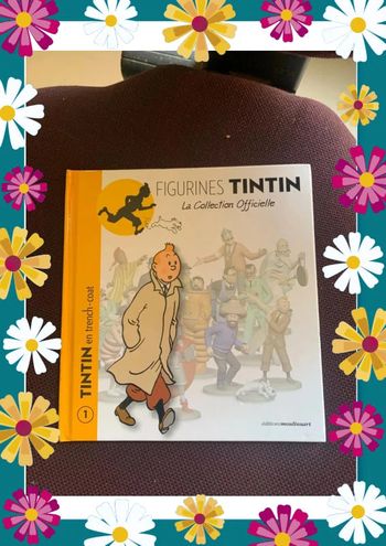 Tintin petit livre 📕 collector