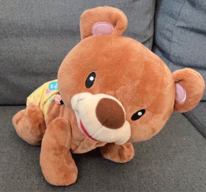 Ours 4 pattes - photo numéro 3