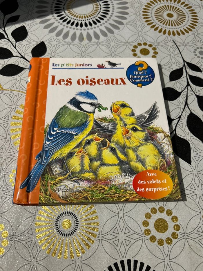 Les p’tits juniors les oiseaux