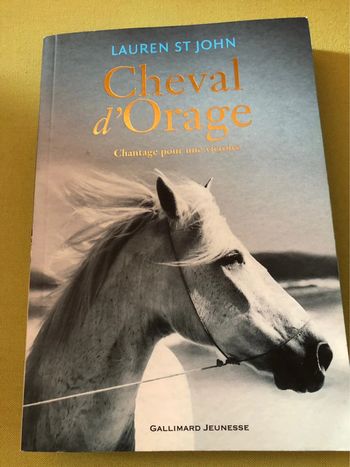 Livre cheval d’orage Lauren st John