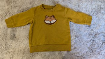 Pull Pat et Ripaton taille 6 mois