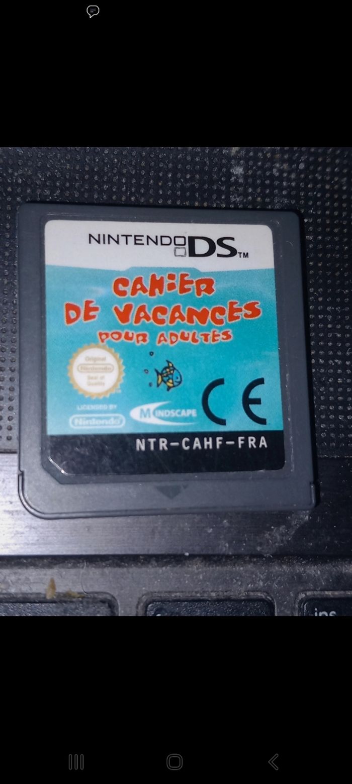 Cahier de vacances Nintendo ds