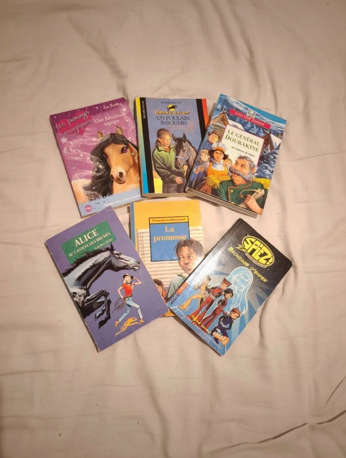 Lot livres sur les chevaux et autres enfants ado