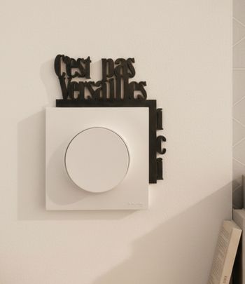 Lot de 2 Décorations humour Versailles 