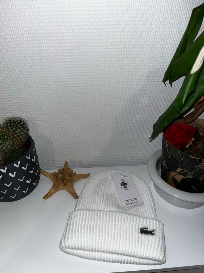 Bonnet - photo numéro 2