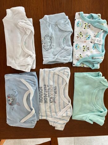 Lot de 14 bodies 6 mois