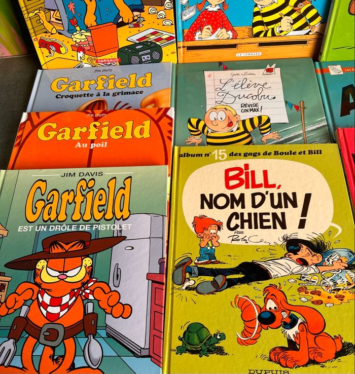 BD Boule et bill, Garfield, Ducodu - photo numéro 2