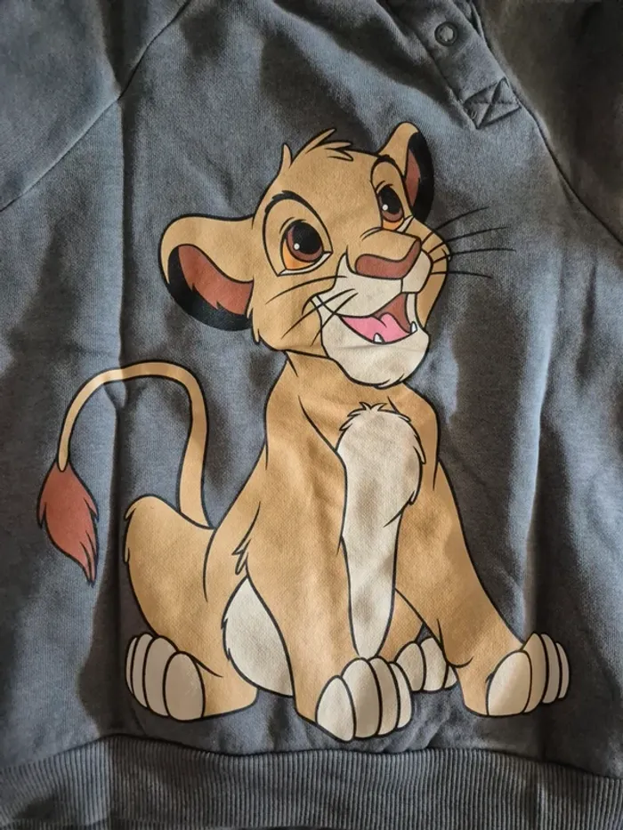 Ensemble simba - photo numéro 4