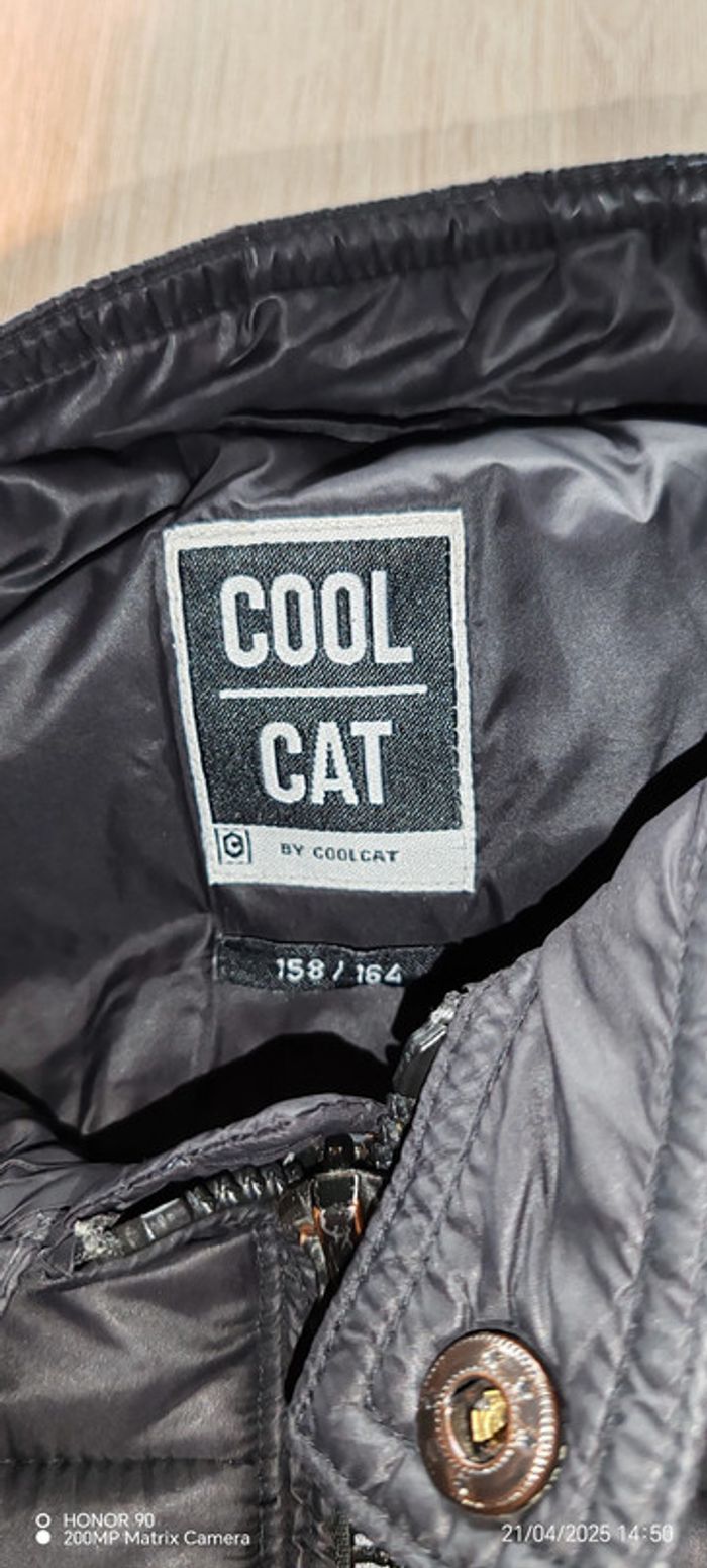 Veste Coolcat - photo numéro 4