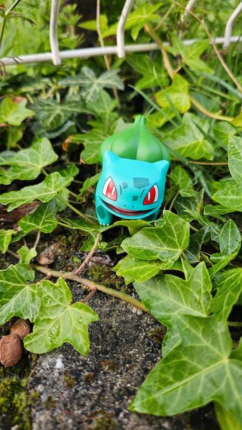 Super figurine Pokemon Bulbizarre