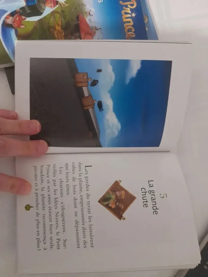 Lot de 5 livres le petit prince à partir de 8ans négociable - photo numéro 20