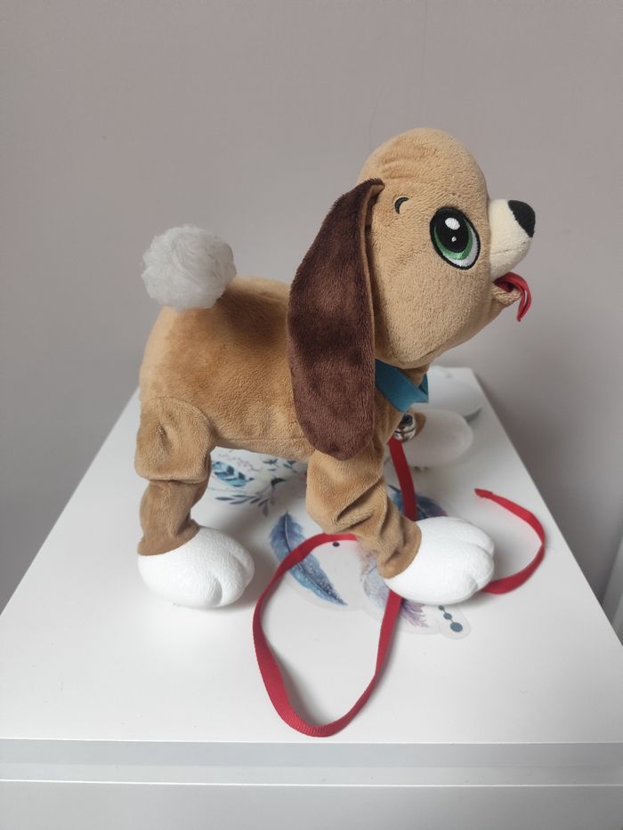 Chien Toufous - photo numéro 2