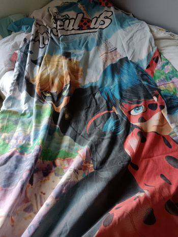 Parure de lit Miraculous