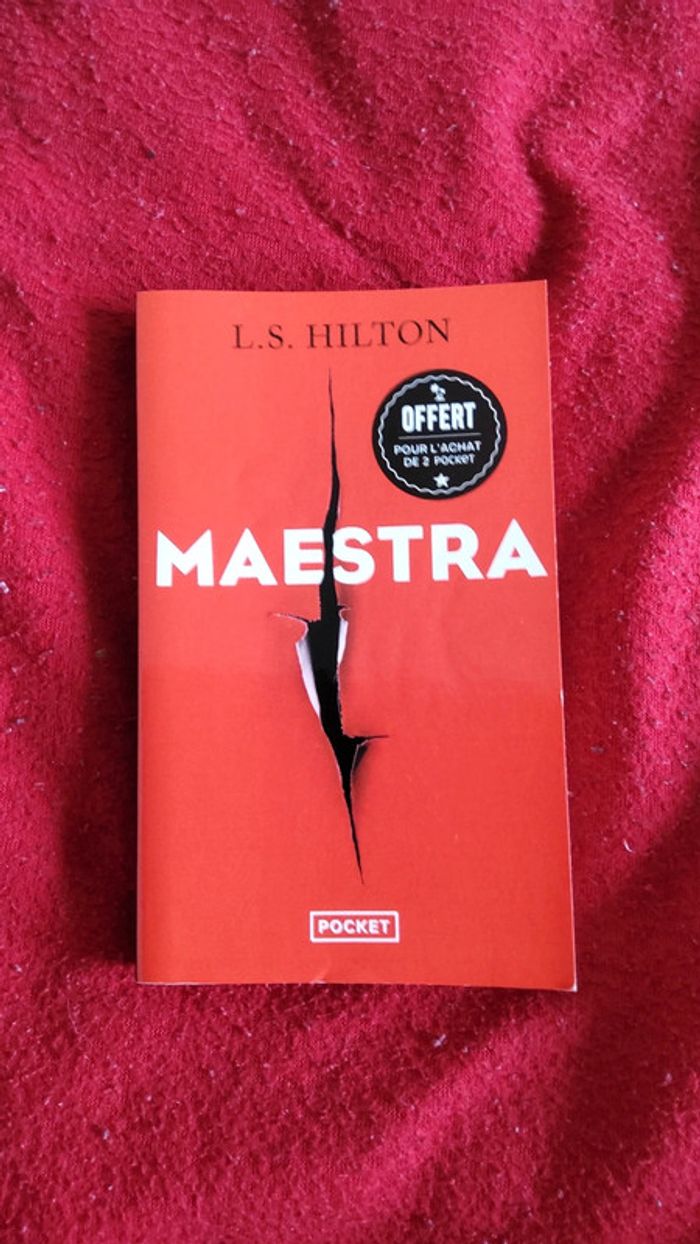 Maestra - photo numéro 2