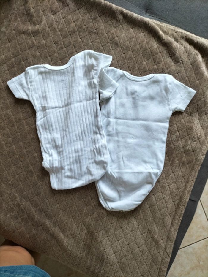 Lot body - photo numéro 4