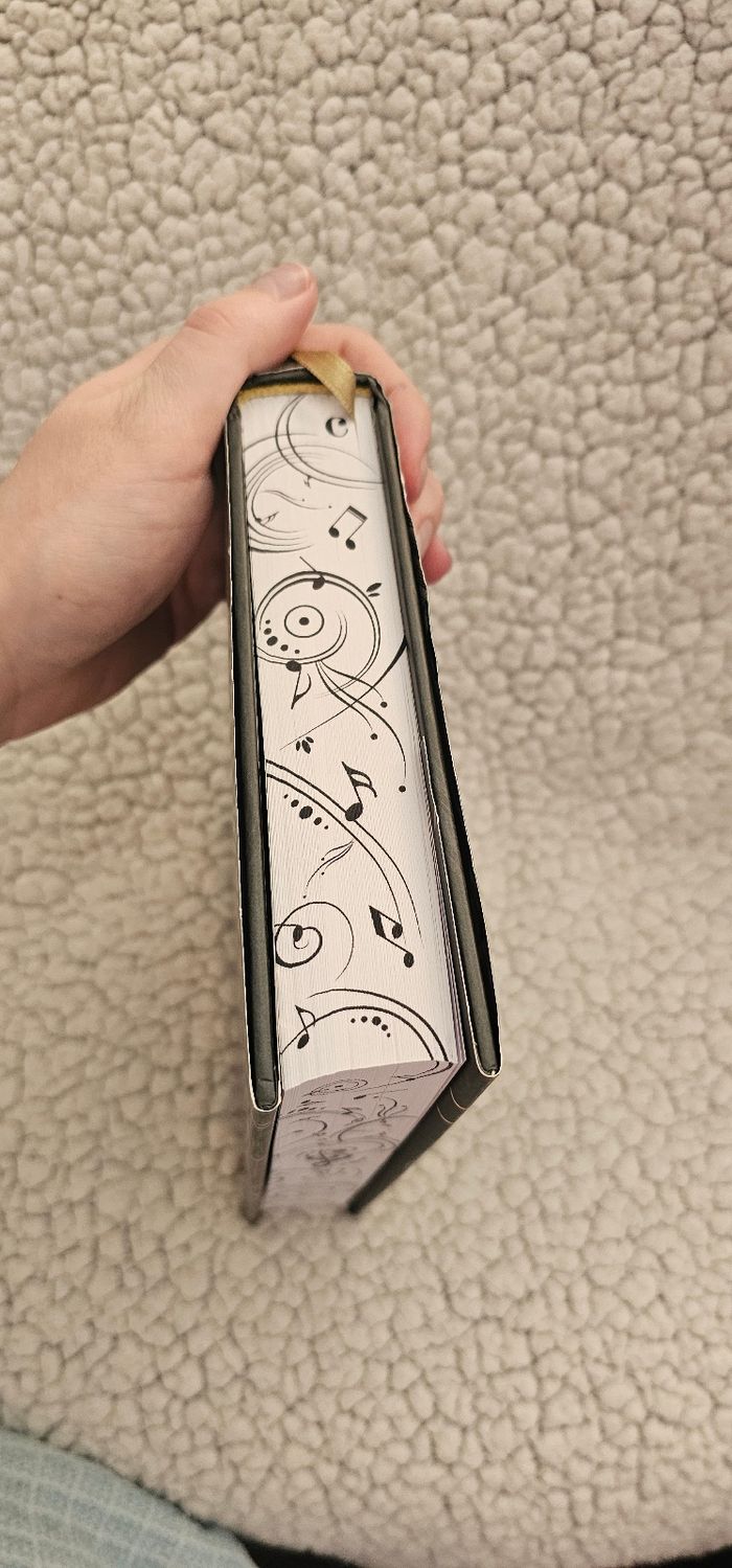 La Tisseuse de Mélodies : Tome 1 de Sarah Abassi relié avec jaspage - photo numéro 6