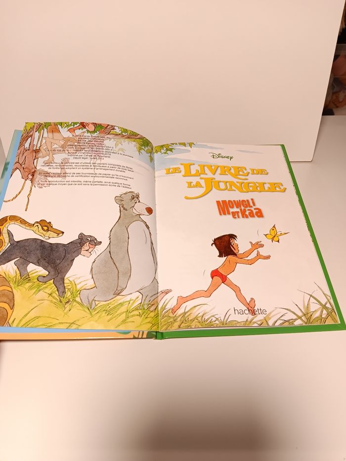 Livre Disney club du livre Le livre de la jungle Mowgli et Kaa - photo numéro 4