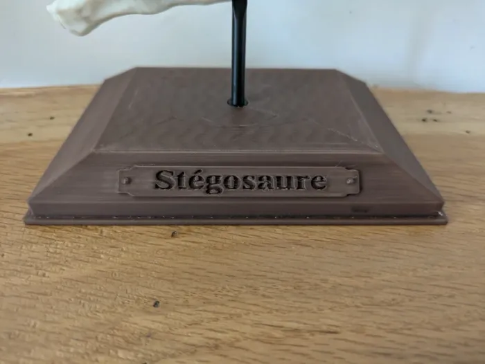 Crâne de stégosaure sur socle - photo numéro 9