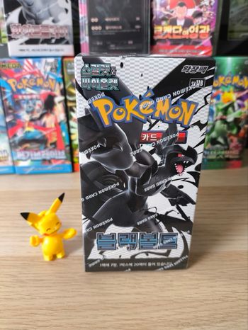 Display coréenne Pokémon foudre noire
