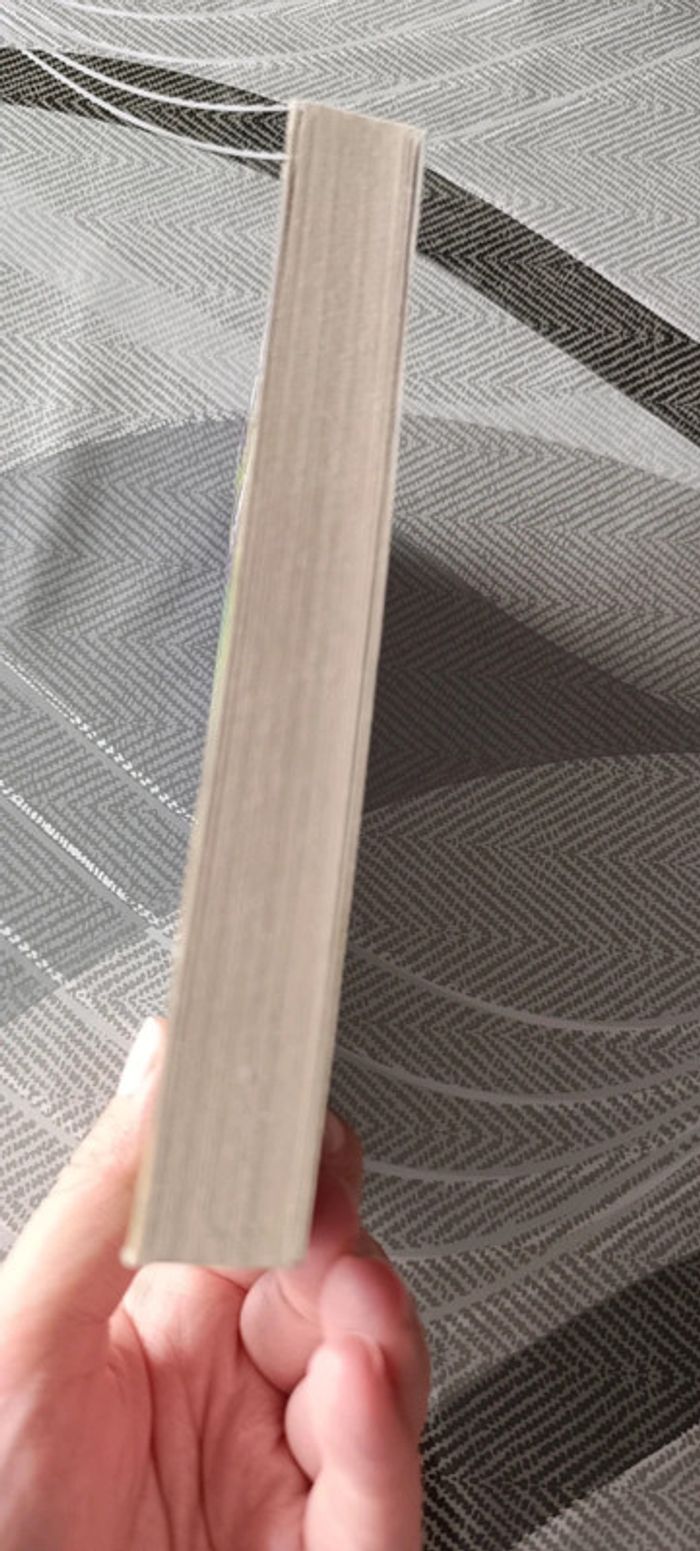 Livre chair de poule - photo numéro 4