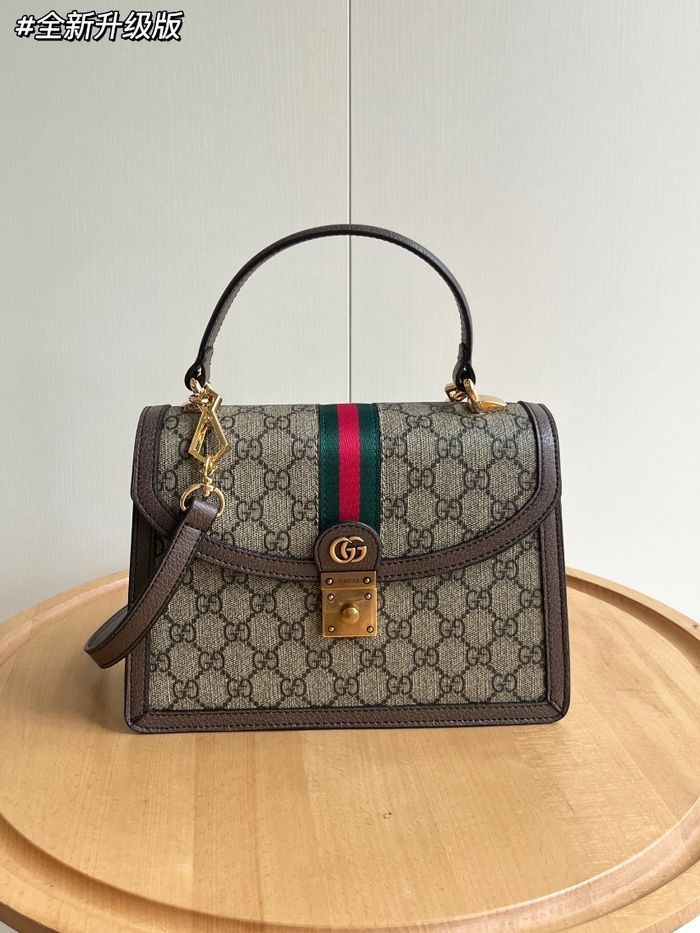 Gucci  Ophidia  651055