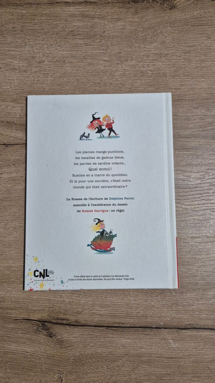 Livre Rustine sorcière ordinaire - photo numéro 4