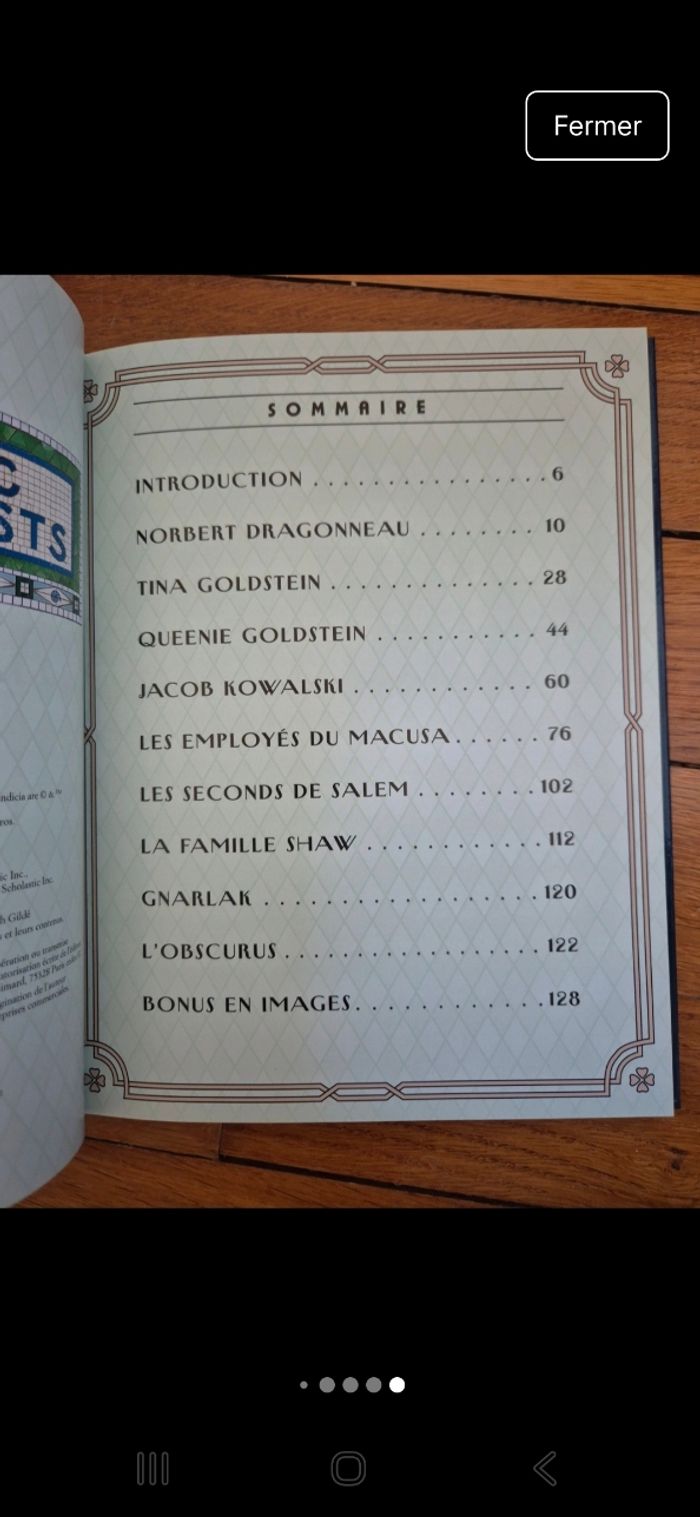 Livre animaux fantastiques  - Les héros du film - photo numéro 9