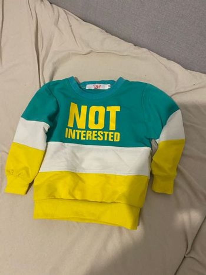 7 pulls/ vestes/ manteau - photo numéro 3