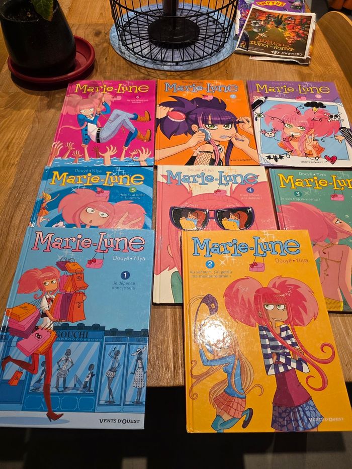 Bd marie lune - photo numéro 2