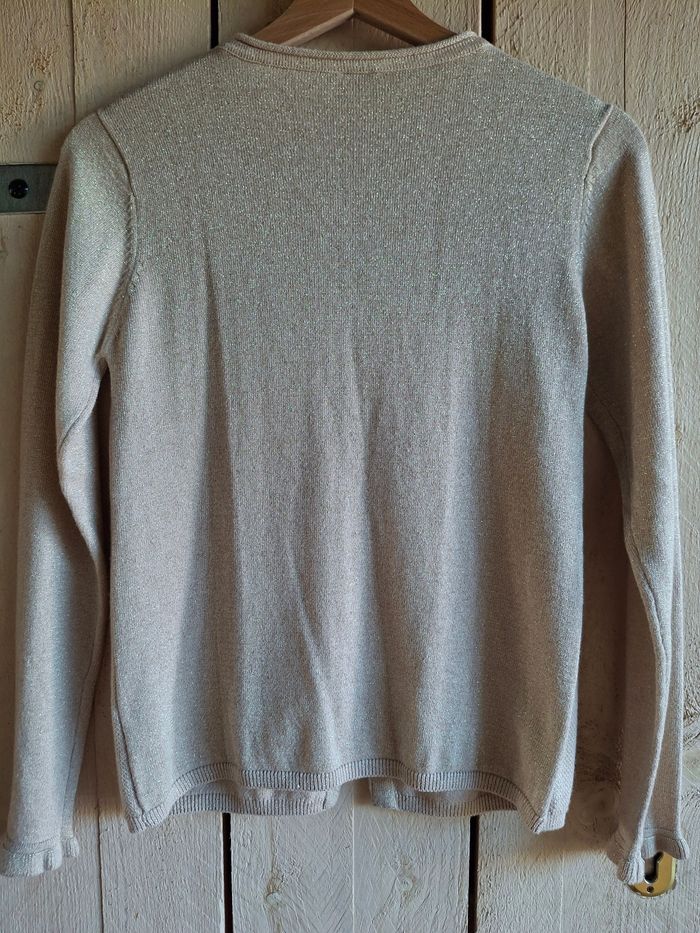 Gilet doré - photo numéro 5