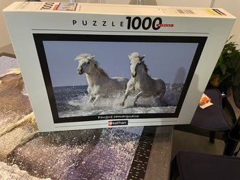 Puzzle 1000 pièces 
