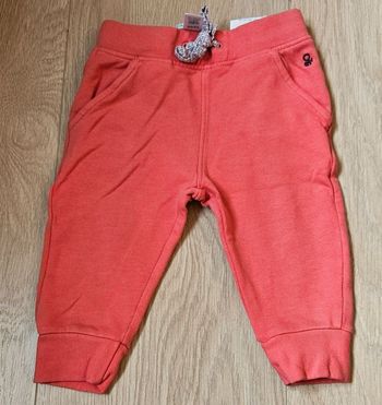 Jogging rose 6M