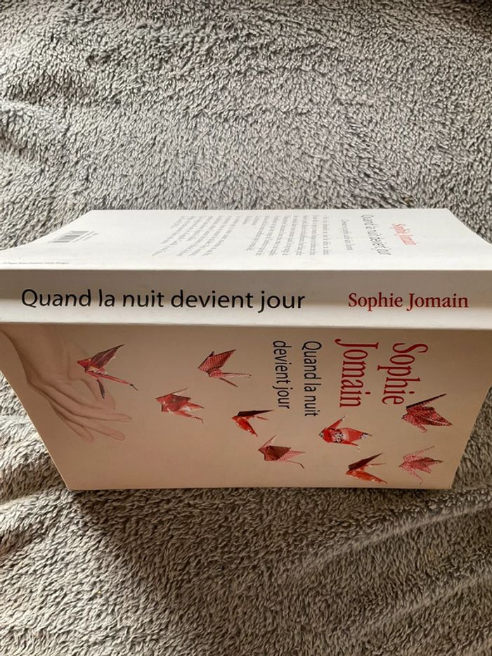 #quand la nuit devient jour Sophie Jomain - photo numéro 4