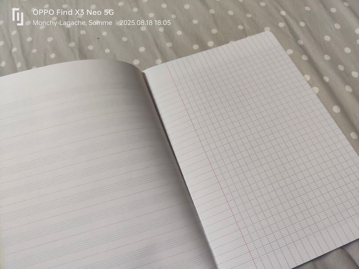 Cahier de musique 48 pages 21x29,7cm 90gr Réduction jusqu'à -70% - photo numéro 4