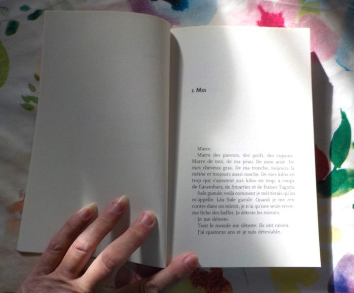 J AI 14 ANS ET JE SUIS DETESTABLE de GUDULE Ed. Flammarion - photo numéro 6
