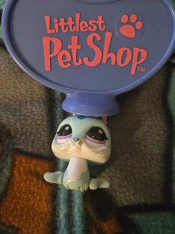 Petshop phoque