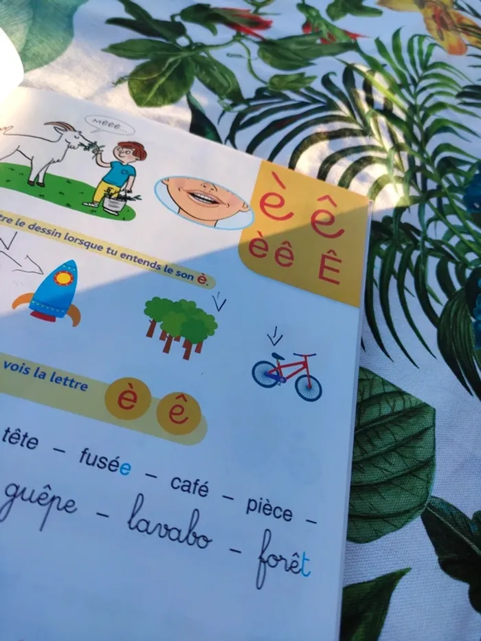 Cahier de lecture J'apprends à lire" - photo numéro 13