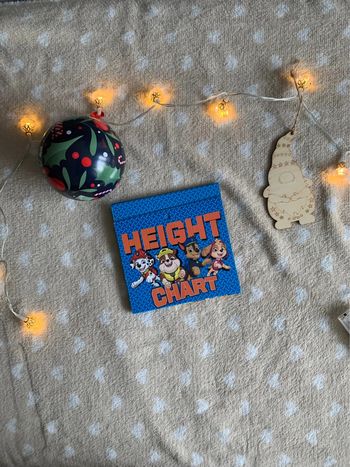 height chart pat patrouille mètre mesurer enfants 😺
